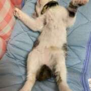 ヒメ日記 2025/05/22 21:15 投稿 えつこ 熟女の風俗最終章 八王子店