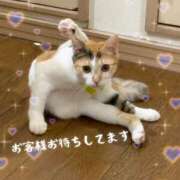 ヒメ日記 2025/05/22 21:53 投稿 えつこ 熟女の風俗最終章 八王子店