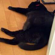 ヒメ日記 2025/07/08 01:13 投稿 えつこ 熟女の風俗最終章 八王子店