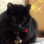 ヒメ日記 2025/08/12 21:05 投稿 えつこ 熟女の風俗最終章 八王子店