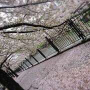 ヒメ日記 2025/04/07 08:16 投稿 沢口りさ お色気物語（横浜ハレ系）