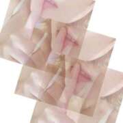 ヒメ日記 2025/11/02 22:41 投稿 沢口りさ お色気物語（横浜ハレ系）