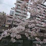 ヒメ日記 2026/03/25 08:40 投稿 沢口りさ お色気物語（横浜ハレ系）