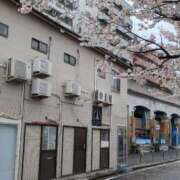 ヒメ日記 2026/04/04 16:29 投稿 沢口りさ お色気物語（横浜ハレ系）