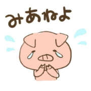 ヒメ日記 2025/03/01 13:09 投稿 麻生さやか 華女(かのじょ) 松山店