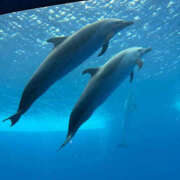 ヒメ日記 2025/04/13 11:44 投稿 麻生さやか 華女(かのじょ) 松山店