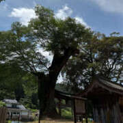 ヒメ日記 2025/07/06 16:08 投稿 麻生さやか 華女(かのじょ) 松山店