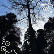 ヒメ日記 2026/01/18 10:31 投稿 麻生さやか 華女(かのじょ) 松山店