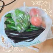 ヒメ日記 2026/07/04 08:48 投稿 麻生さやか 華女(かのじょ) 松山店