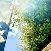 ヒメ日記 2025/07/27 13:39 投稿 かな consolation