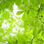 ヒメ日記 2026/05/21 07:03 投稿 かな consolation