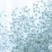 ヒメ日記 2026/10/18 19:37 投稿 かな consolation