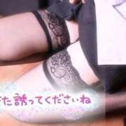 ヒメ日記 2026/03/04 23:56 投稿 美波らん セレブ嬉野