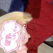 ヒメ日記 2024/12/28 12:55 投稿 霧島　わかな NADIA京都店