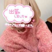 ヒメ日記 2025/03/09 12:02 投稿 霧島　わかな NADIA京都店