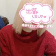 ヒメ日記 2025/03/12 11:49 投稿 霧島　わかな NADIA京都店