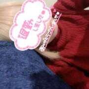 ヒメ日記 2025/03/16 13:34 投稿 霧島　わかな NADIA京都店