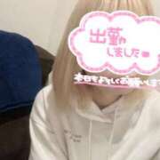 ヒメ日記 2025/03/31 12:00 投稿 霧島　わかな NADIA京都店