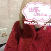 ヒメ日記 2025/04/03 12:24 投稿 霧島　わかな NADIA京都店