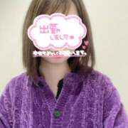 ヒメ日記 2025/04/17 11:58 投稿 霧島　わかな NADIA京都店