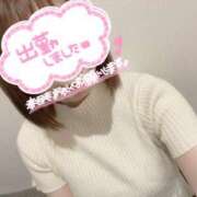 ヒメ日記 2025/04/30 11:28 投稿 霧島　わかな NADIA京都店