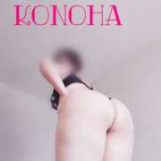 ヒメ日記 2025/08/12 16:24 投稿 木ノ葉 熟女の風俗最終章 横浜本店