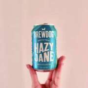 いおな こんばんは 錦糸町人妻セレブリティ（ユメオト）