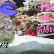 ヒメ日記 2025/01/31 07:24 投稿 ミレイ びしょぬれ潮吹秘書