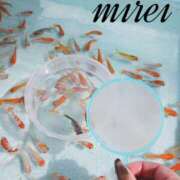 ヒメ日記 2025/08/07 22:47 投稿 ミレイ びしょぬれ潮吹秘書