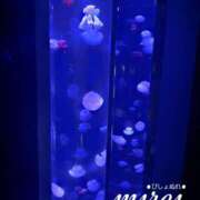 ヒメ日記 2025/08/19 16:59 投稿 ミレイ びしょぬれ潮吹秘書