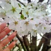 ヒメ日記 2025/03/28 21:17 投稿 ミレイ びしょぬれ新人秘書