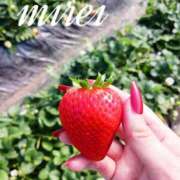 ヒメ日記 2025/05/22 22:43 投稿 ミレイ びしょぬれ新人秘書