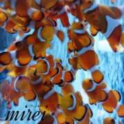 ヒメ日記 2025/06/11 22:56 投稿 ミレイ びしょぬれ新人秘書