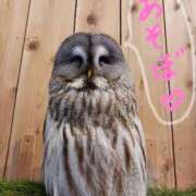 ヒメ日記 2025/10/16 22:45 投稿 ミレイ びしょぬれ新人秘書