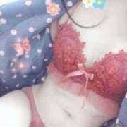 ヒメ日記 2026/03/23 14:32 投稿 きこ 大人の遊園地