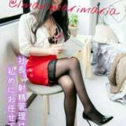 ヒメ日記 2024/12/24 08:15 投稿 滝沢　まりあ セレブショップ新宿（東京ハレ系）