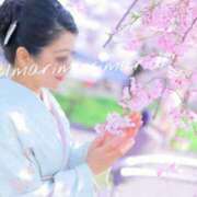 ヒメ日記 2025/03/04 12:16 投稿 滝沢　まりあ セレブショップ新宿（東京ハレ系）