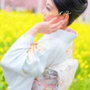 ヒメ日記 2025/03/09 20:16 投稿 滝沢　まりあ セレブショップ新宿（東京ハレ系）