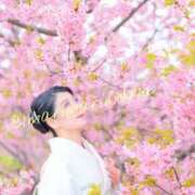 ヒメ日記 2025/03/25 22:03 投稿 滝沢　まりあ セレブショップ新宿（東京ハレ系）