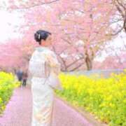 ヒメ日記 2025/03/26 12:15 投稿 滝沢　まりあ セレブショップ新宿（東京ハレ系）