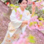 ヒメ日記 2025/03/27 12:15 投稿 滝沢　まりあ セレブショップ新宿（東京ハレ系）