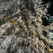 ヒメ日記 2025/03/27 21:45 投稿 滝沢　まりあ セレブショップ新宿（東京ハレ系）