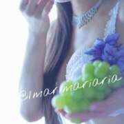 ヒメ日記 2025/04/24 09:45 投稿 滝沢　まりあ セレブショップ新宿（東京ハレ系）