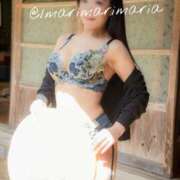 ヒメ日記 2025/08/12 12:16 投稿 滝沢　まりあ セレブショップ新宿（東京ハレ系）