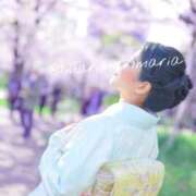 ヒメ日記 2025/09/24 07:15 投稿 滝沢　まりあ セレブショップ新宿（東京ハレ系）