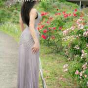 ヒメ日記 2025/11/18 12:32 投稿 滝沢　まりあ セレブショップ新宿（東京ハレ系）