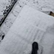 ヒメ日記 2026/02/08 09:30 投稿 滝沢　まりあ セレブショップ新宿（東京ハレ系）