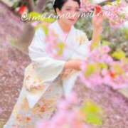 ヒメ日記 2026/03/15 09:45 投稿 滝沢　まりあ セレブショップ新宿（東京ハレ系）