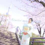 ヒメ日記 2026/03/31 20:15 投稿 滝沢　まりあ セレブショップ新宿（東京ハレ系）