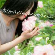 ヒメ日記 2026/04/01 12:15 投稿 滝沢　まりあ セレブショップ新宿（東京ハレ系）